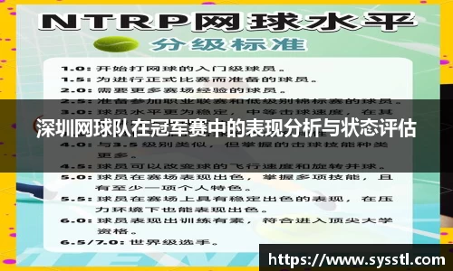 深圳网球队在冠军赛中的表现分析与状态评估
